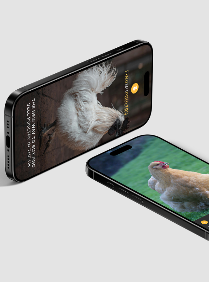Find My Poultry — primary goals