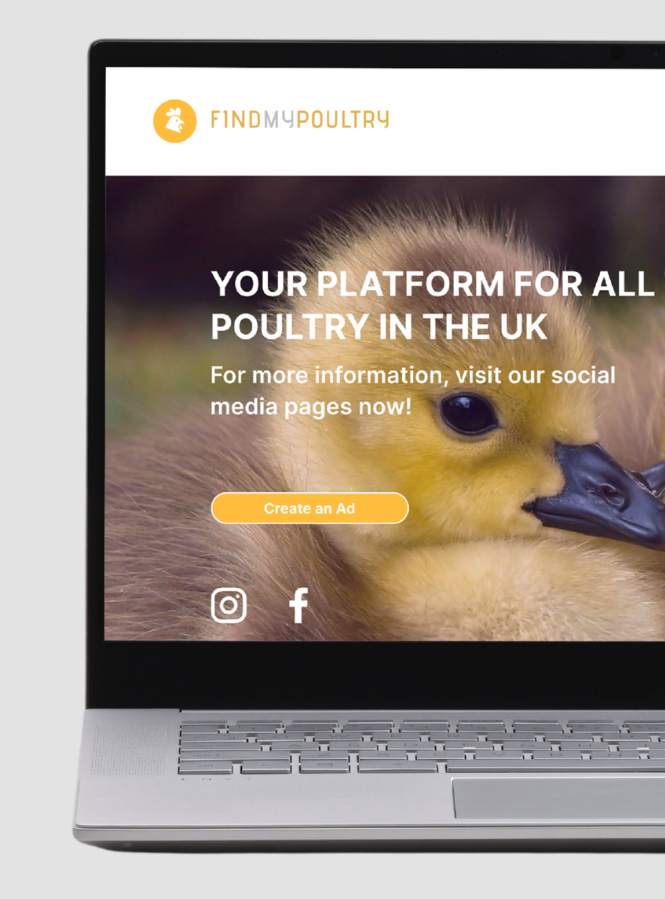 Find My Poultry — end results